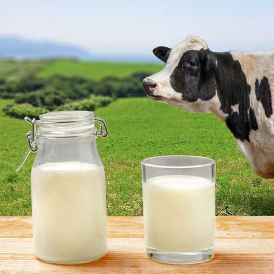 1 Litre Pure Organic Cow Milk
